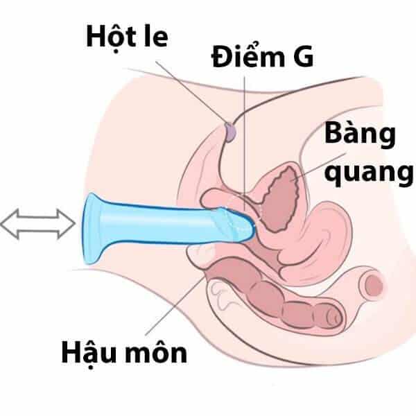 Cách thủ dâm bằng dương vật giả