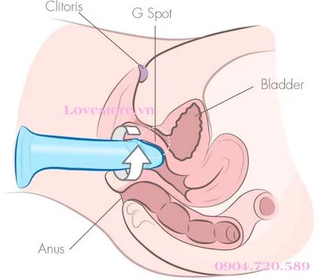 CÁCH SỬ DỤNG DƯƠNG VẬT GIẢ TỰ SƯỚNG ĐẠT KHOÁI CẢM TỐI ĐA 5