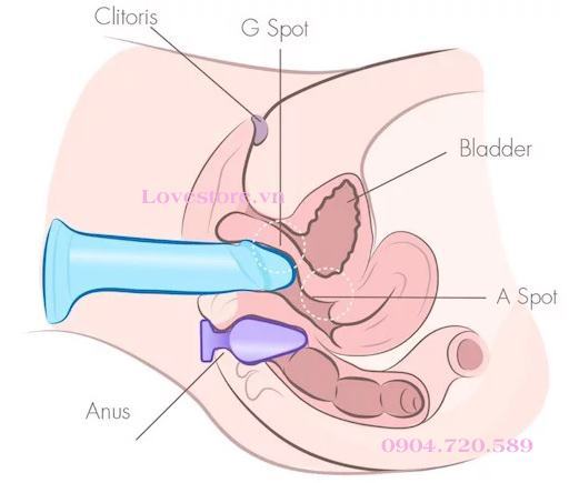 CÁCH SỬ DỤNG DƯƠNG VẬT GIẢ TỰ SƯỚNG ĐẠT KHOÁI CẢM TỐI ĐA 10