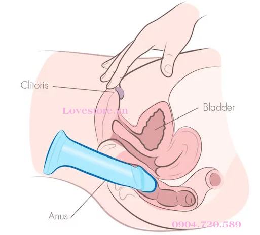 CÁCH SỬ DỤNG DƯƠNG VẬT GIẢ TỰ SƯỚNG ĐẠT KHOÁI CẢM TỐI ĐA 9